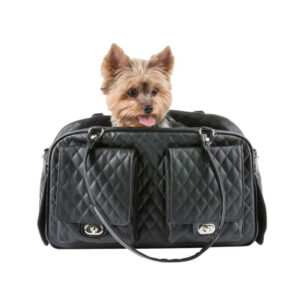 dog carrier