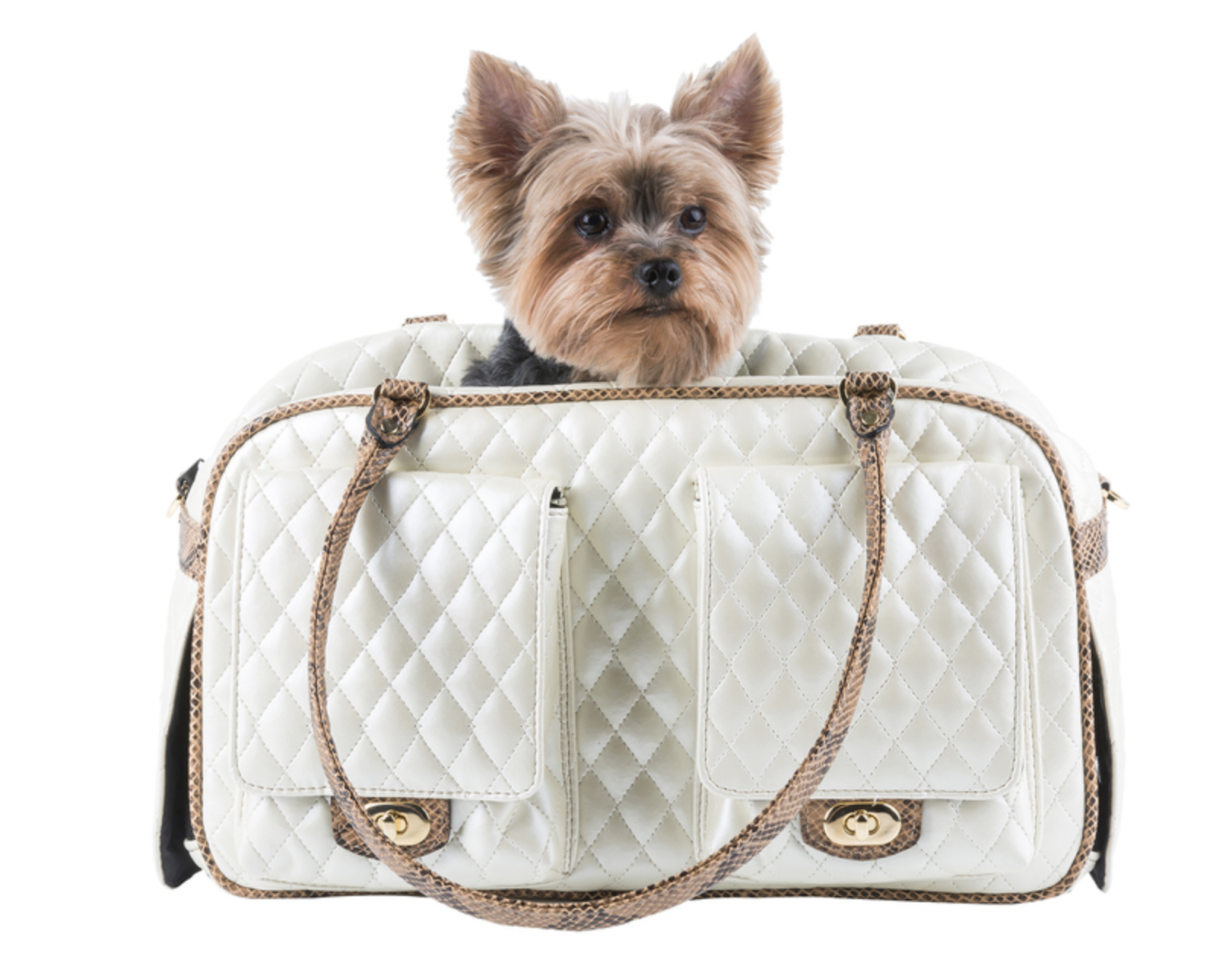 Marlee – Ivory Quilted With Snake – GlamourDog