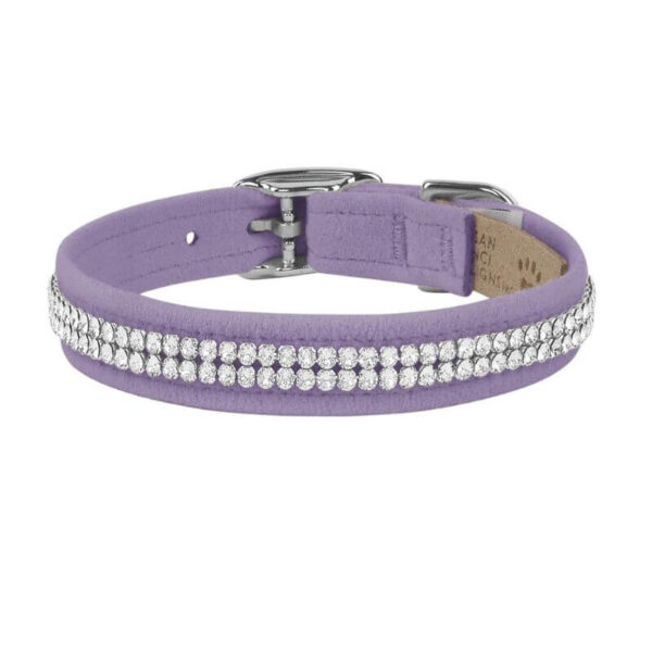 dog collar