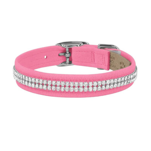 dog collar