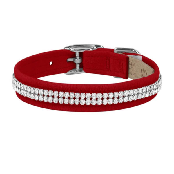 dog collar