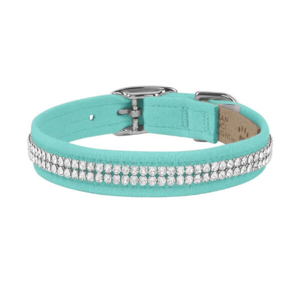 dog collar