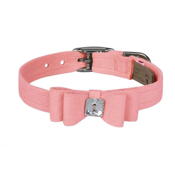 dog collar