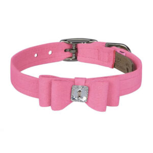 dog collar