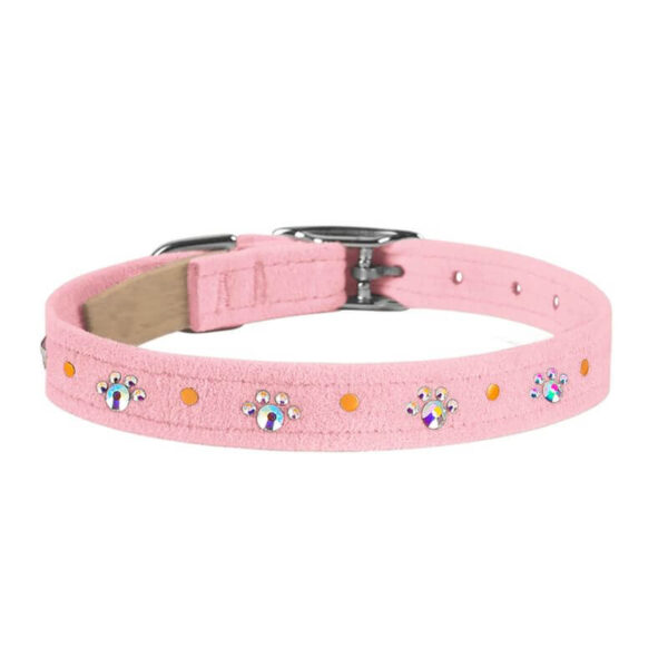 dog collar