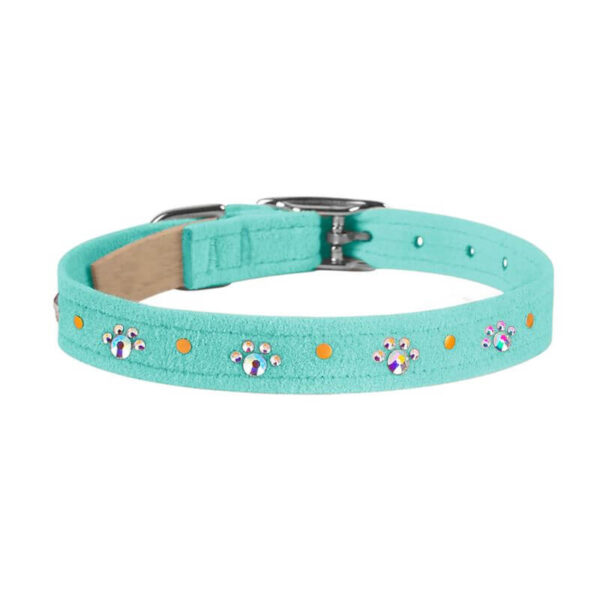 dog collar