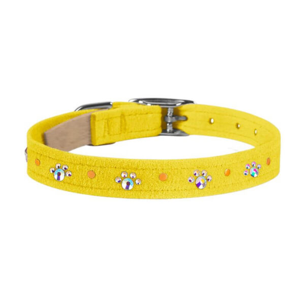 dog collar