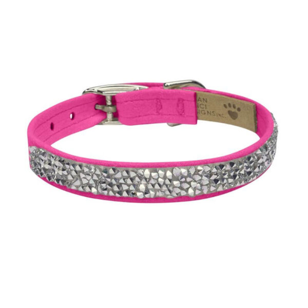 dog collar