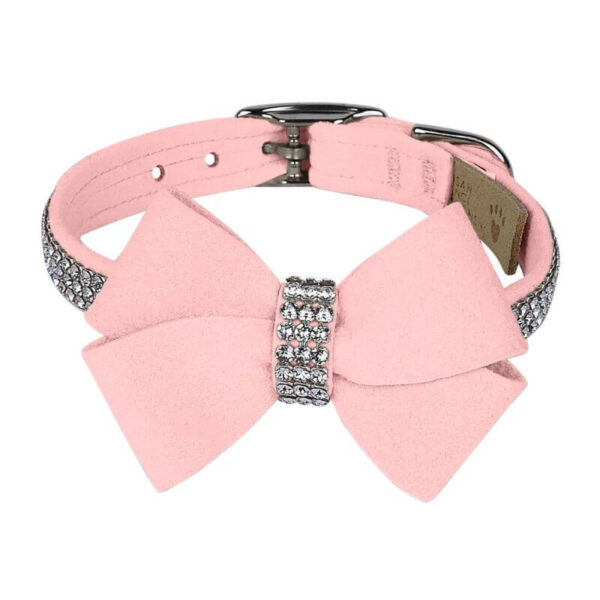 dog collar