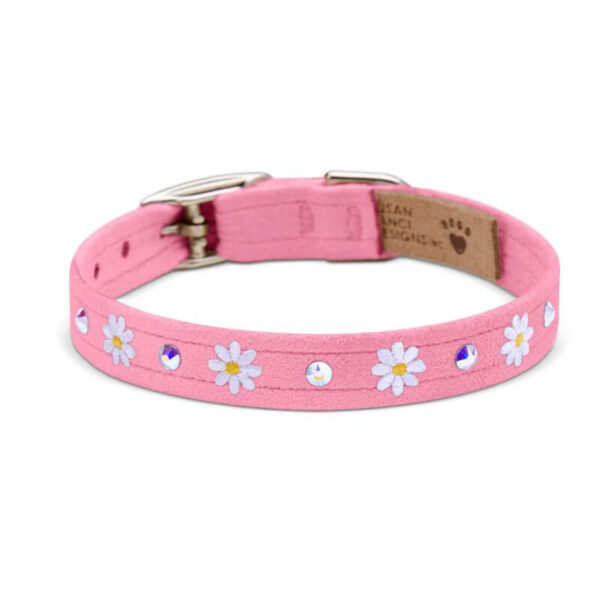 dog collar