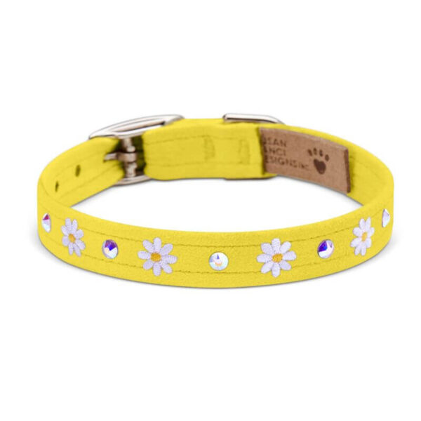 dog collar