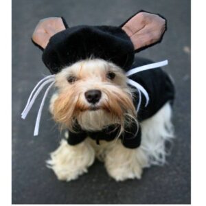 Dog Costume