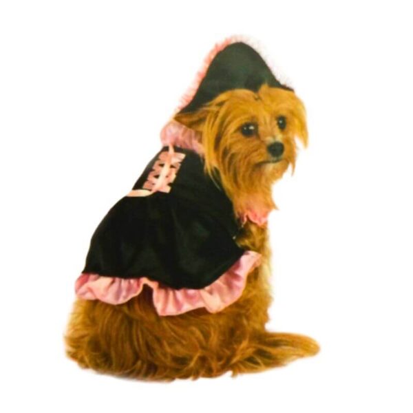 Dog Costume