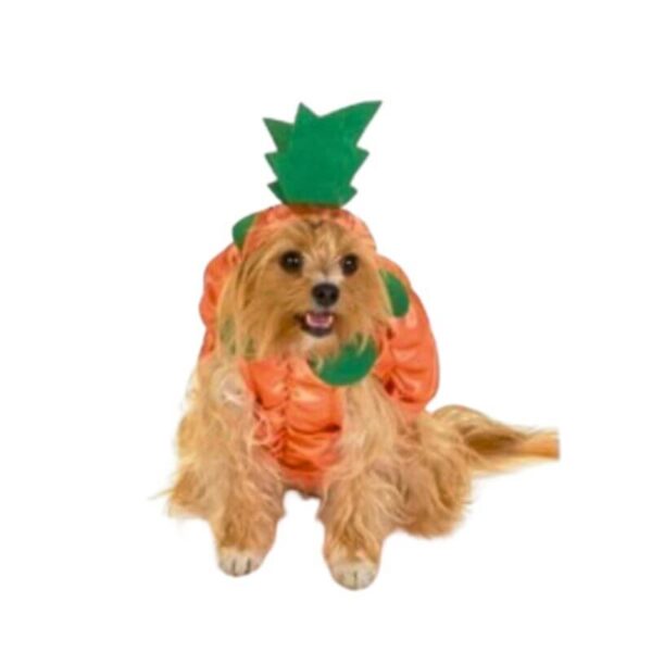 Dog Costume