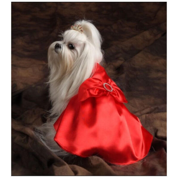 Red Satin Formal Dress