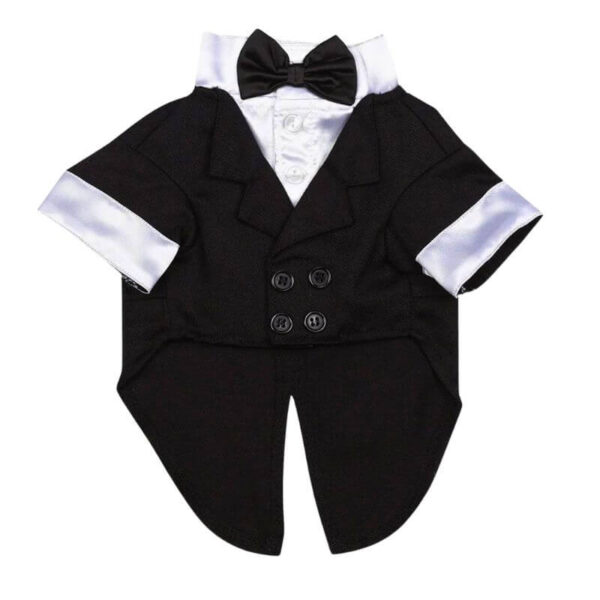 Casual Tux with Tails