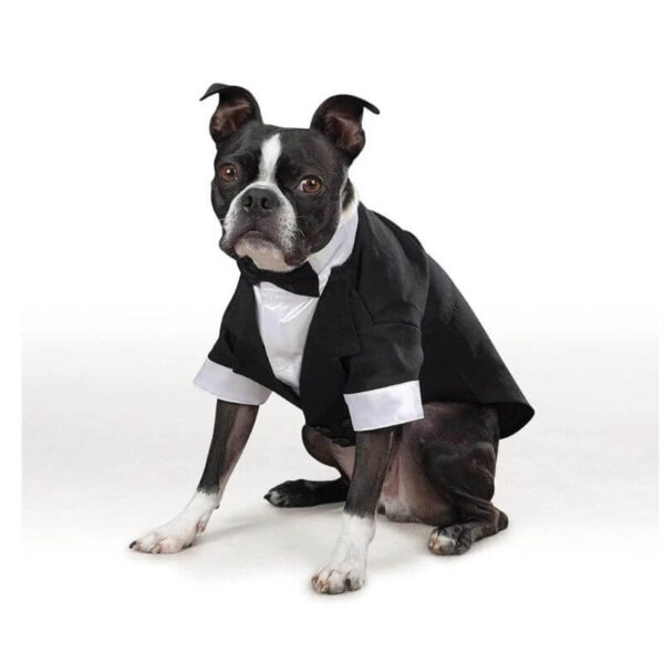 Casual Dog Tux with Tails - Image 3