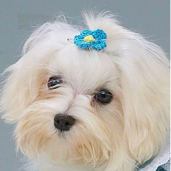 Dog Hairpin