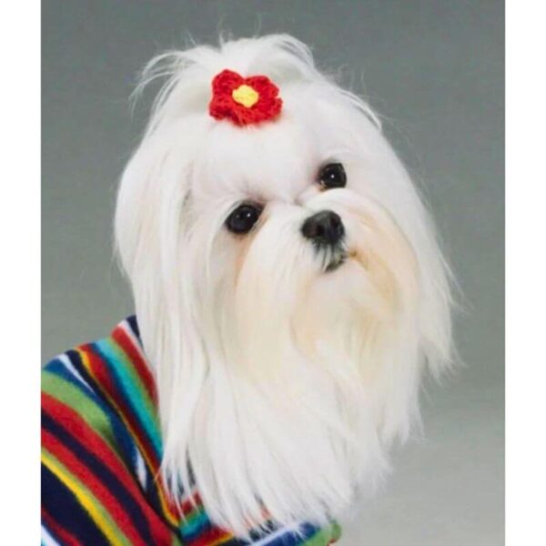 Dog Hairpin
