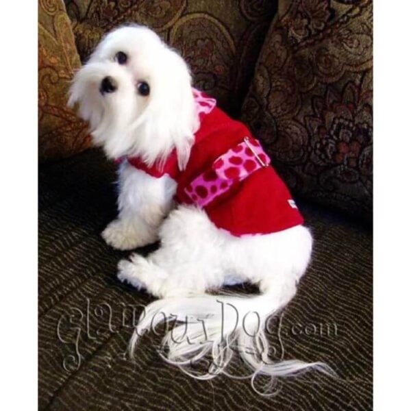 dog coat