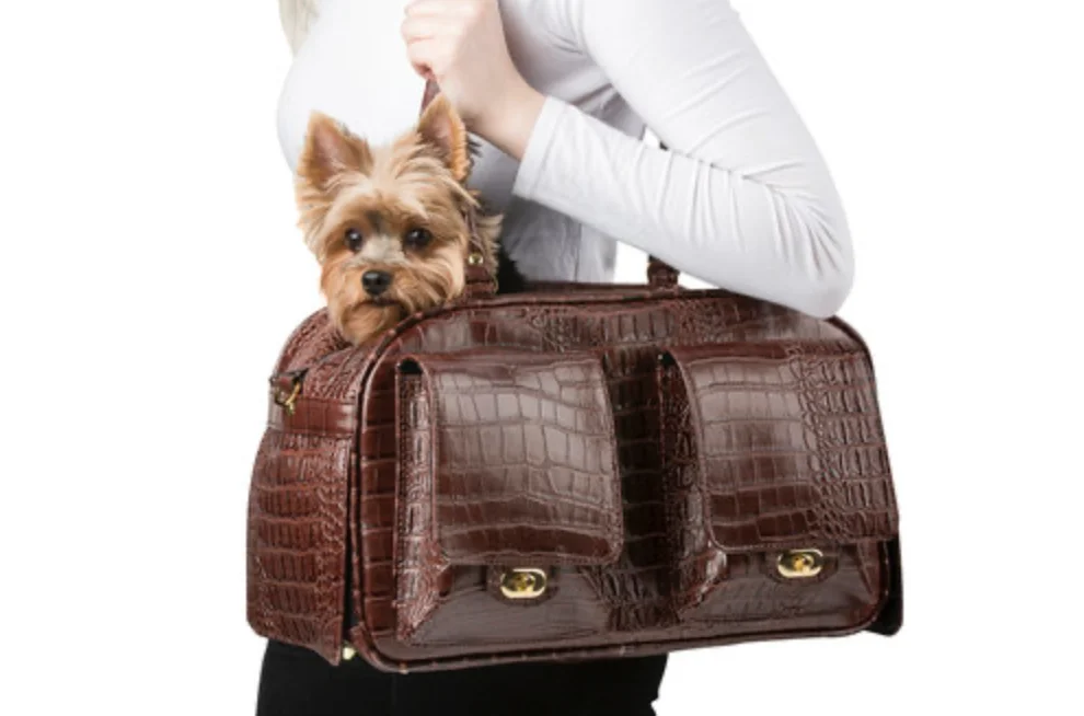 Dog Carrier