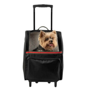 Dog Carrier