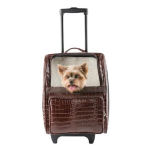 Dog Carrier