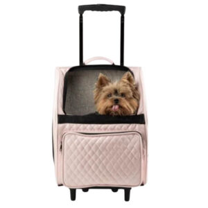 Dog Carrier