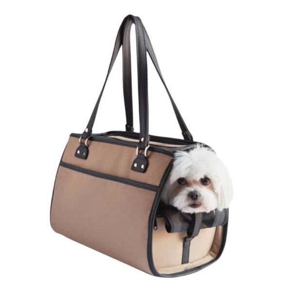 Dog Carrier