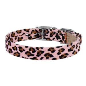 dog collar