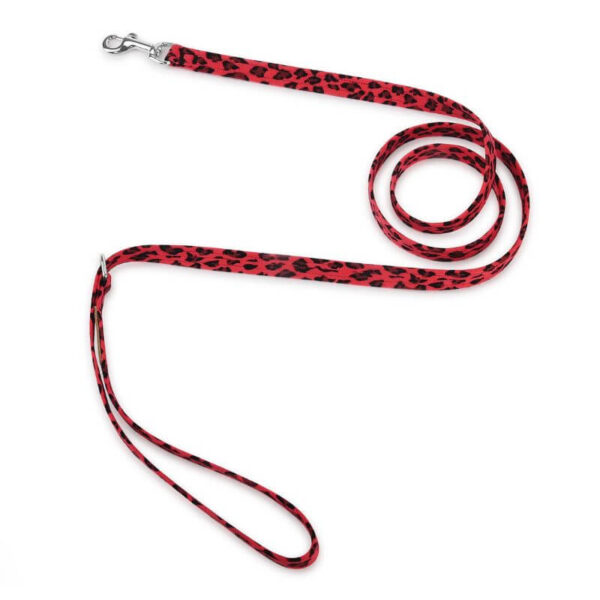 dog leash