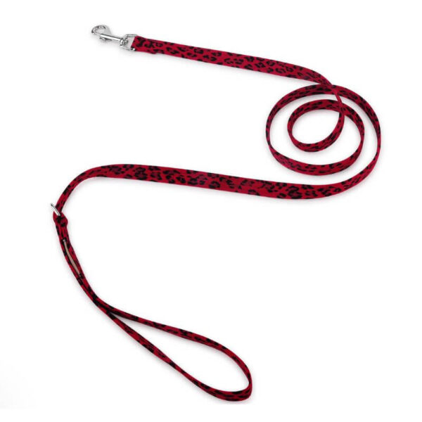 dog leash