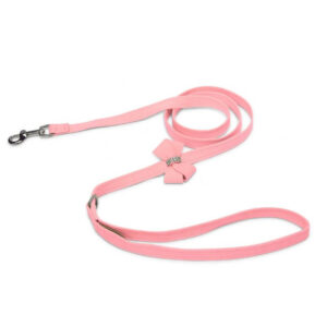 dog leash