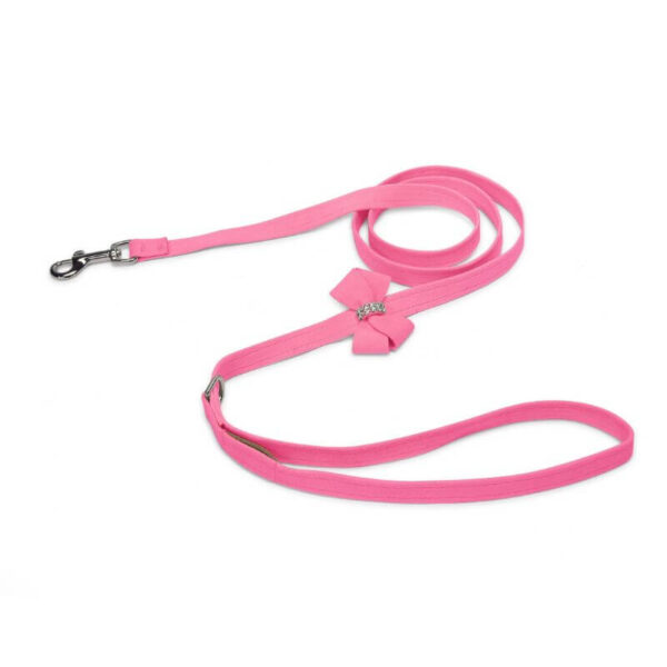 dog leash