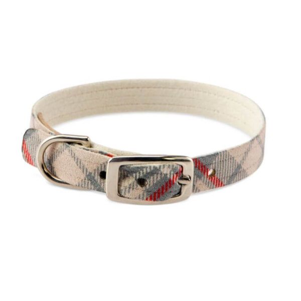 dog collar