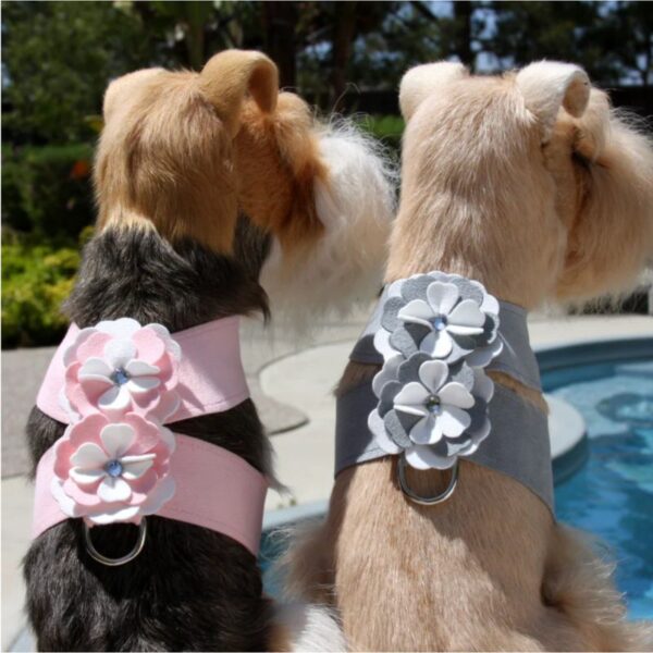 dog harness