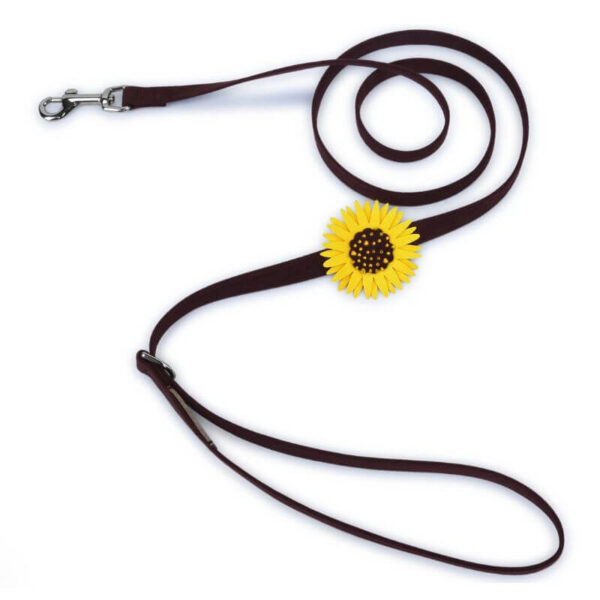 dog leash