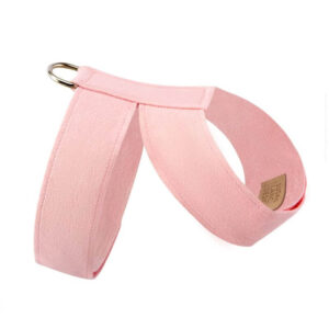 dog harness