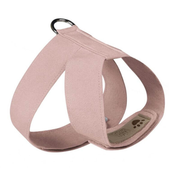 dog harness