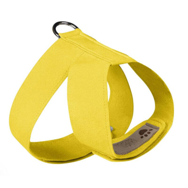 dog harness