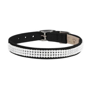 dog collar