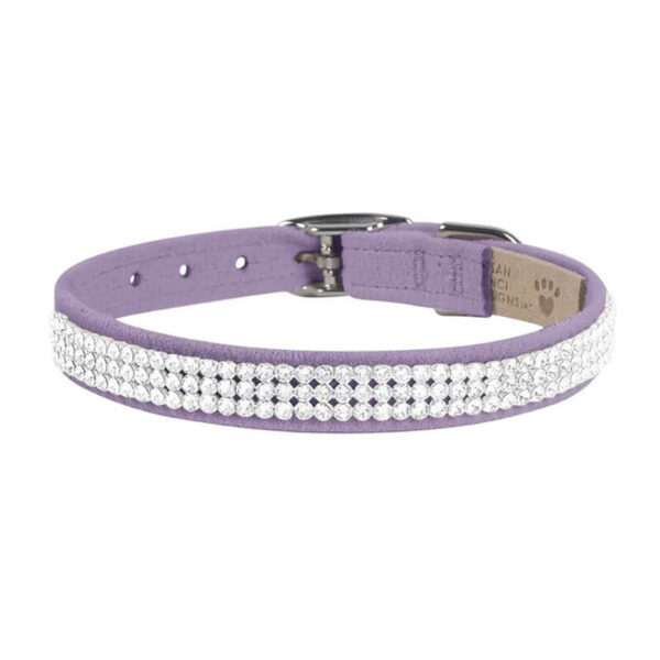 dog collar