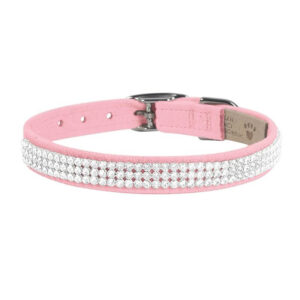 dog collar