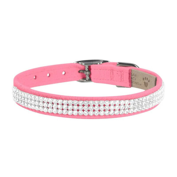 dog collar