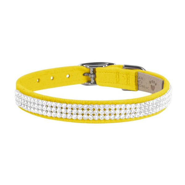 dog collar