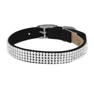 dog collar