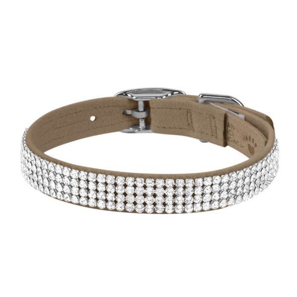 dog collar