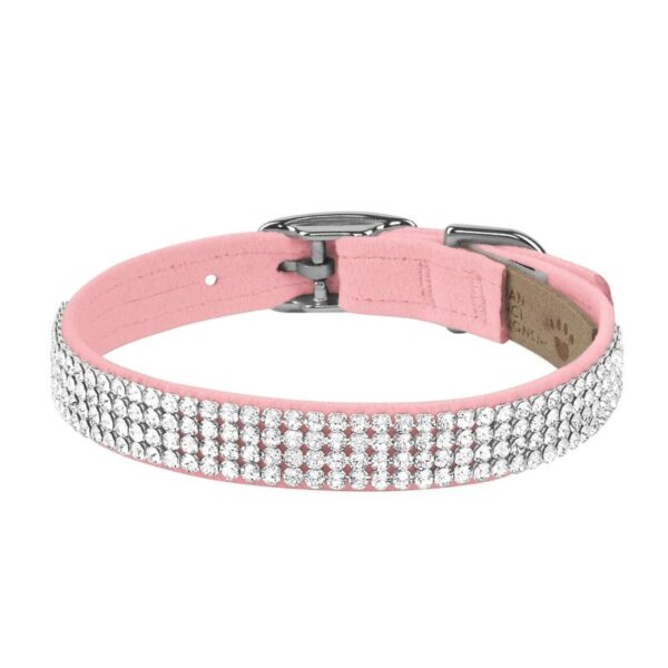 dog collar