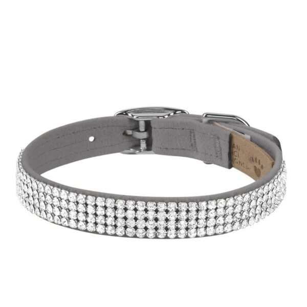 dog collar