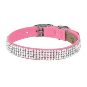 dog collar